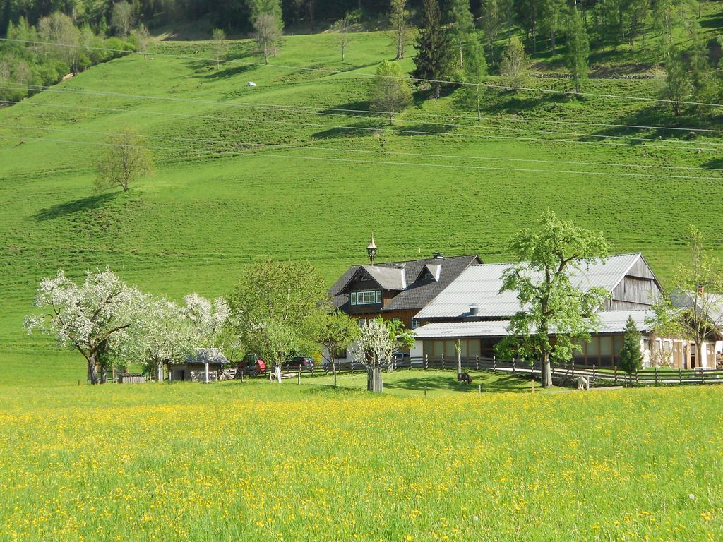 Weitgasserhof Шладминг Екстериор снимка
